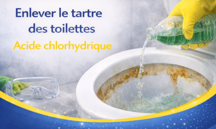 Utiliser l’acide chlorhydrique pour enlever le tartre des toilettes : méthode et précautions