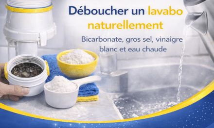 Déboucher un lavabo naturellement avec bicarbonate, gros sel, vinaigre blanc et eau chaude
