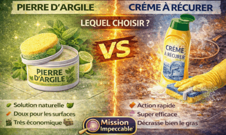 Pierre d&rsquo;argile vs crème à récurer