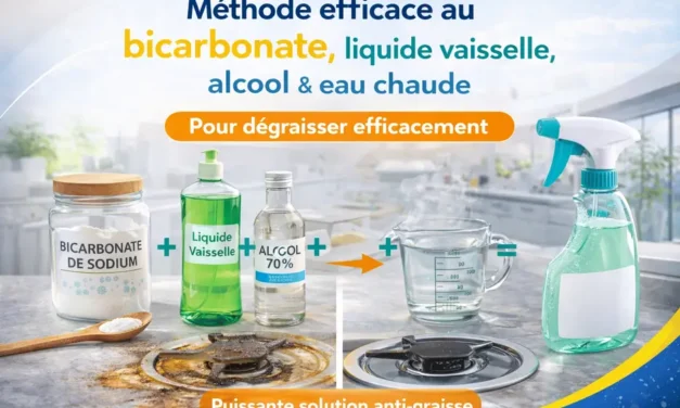 Comment nettoyer la graisse à la perfection