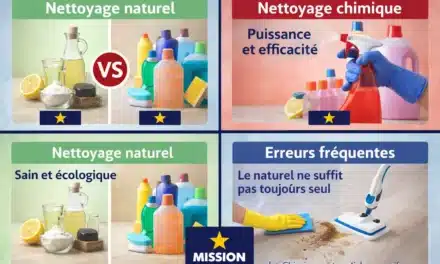Nettoyage naturel vs chimique