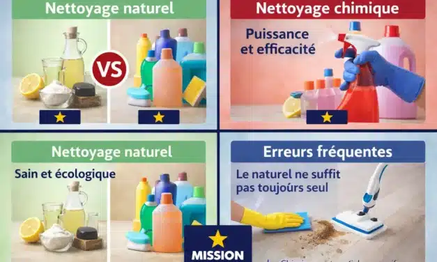 Nettoyage naturel vs chimique